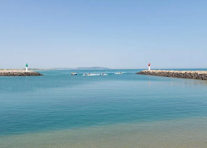 Avec Piscine, à Proximité, Animaux Et Parking, Climatisation - Fr-1-387-212 Marseillan (Herault)